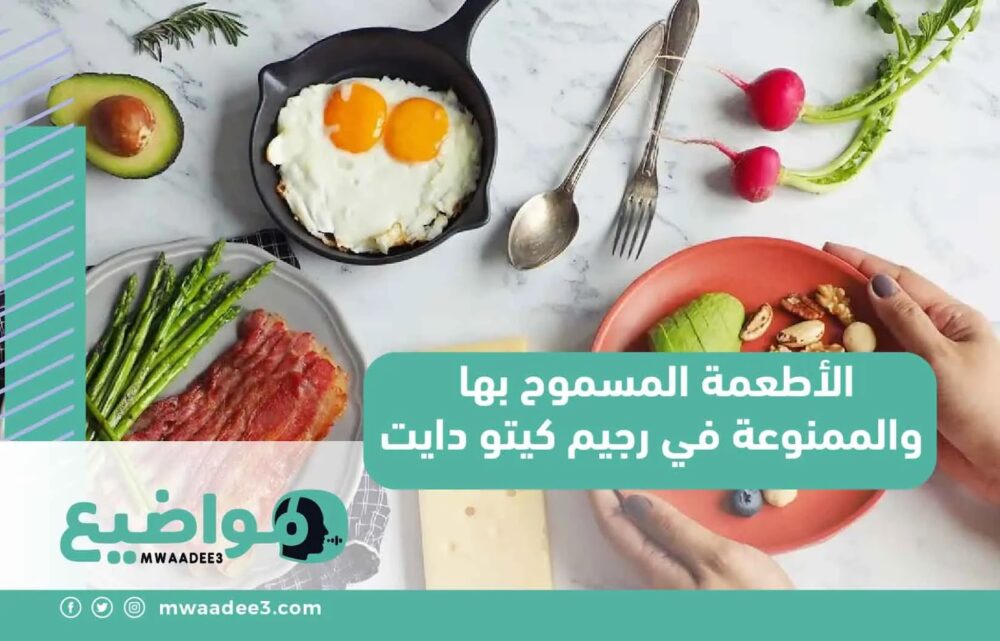 الأطعمة المسموح بها والممنوعة في رجيم كيتو دايت