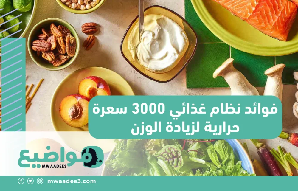 فوائد نظام غذائي 3000 سعرة حرارية لزيادة الوزن