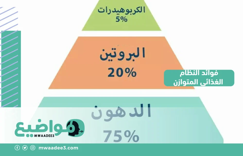 فوائد النظام الغذائي المتوازن