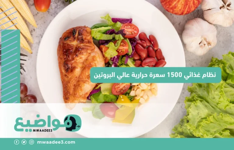 نظام غذائي 1500 سعرة حرارية عالي البروتين