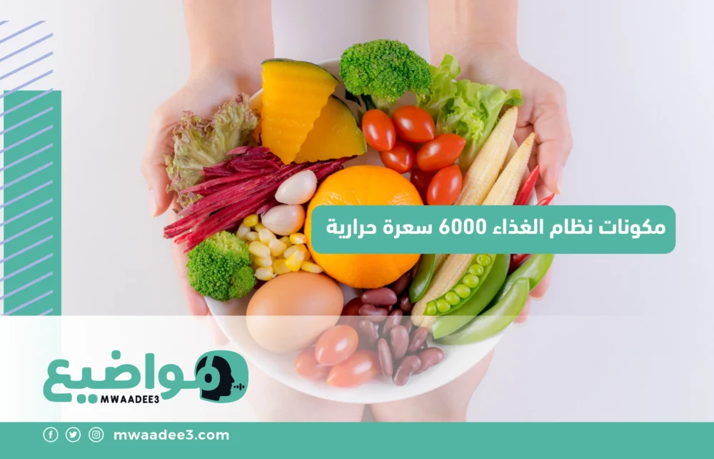 مكونات نظام الغذاء 6000 سعرة حرارية