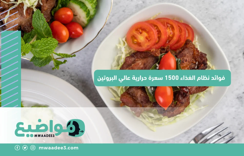 فوائد نظام الغذاء 1500 سعرة حرارية عالي البروتين