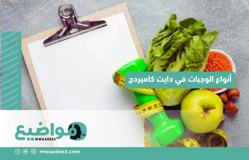 أنواع الوجبات في دايت كامبردج