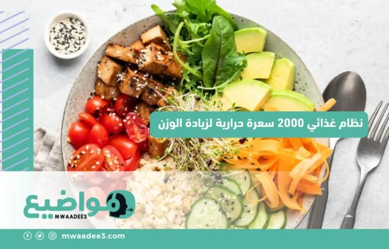 نظام غذائي 2000 سعرة حرارية لزيادة الوزن