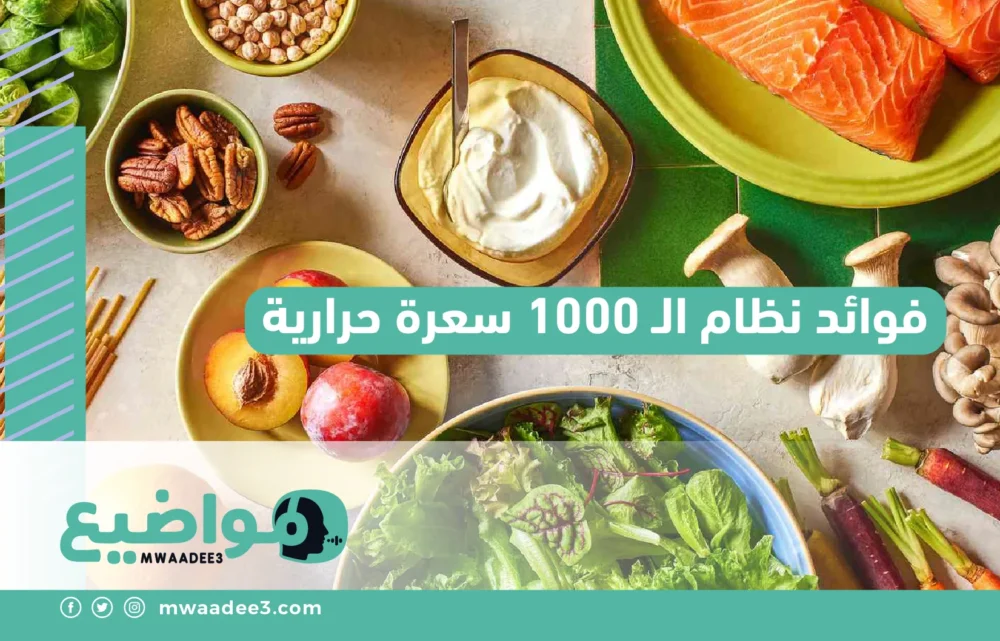 فوائد نظام الـ 1000 سعرة حرارية