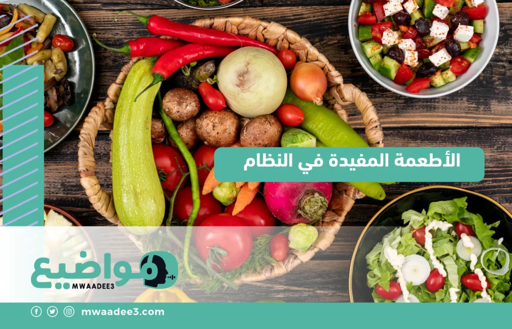 الأطعمة المفيدة في النظام