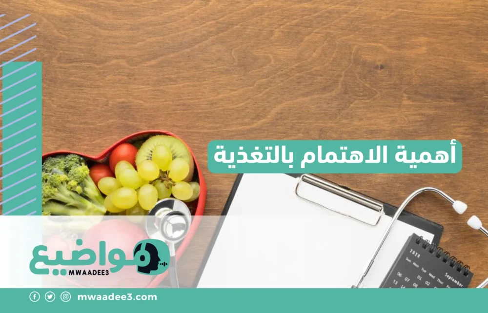 أهمية الاهتمام بالتغذية