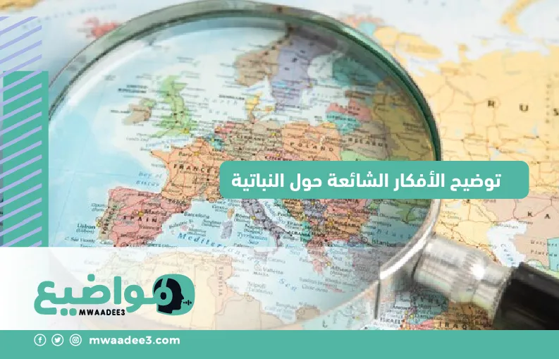 توضيح الأفكار الشائعة حول النباتية