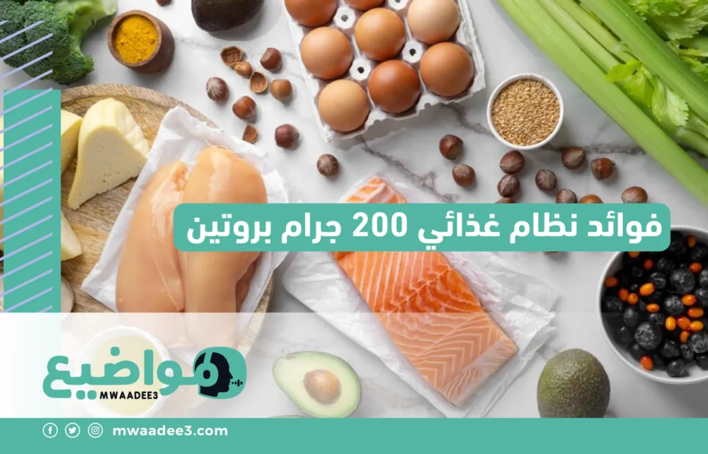 فوائد نظام غذائي 200 جرام بروتين