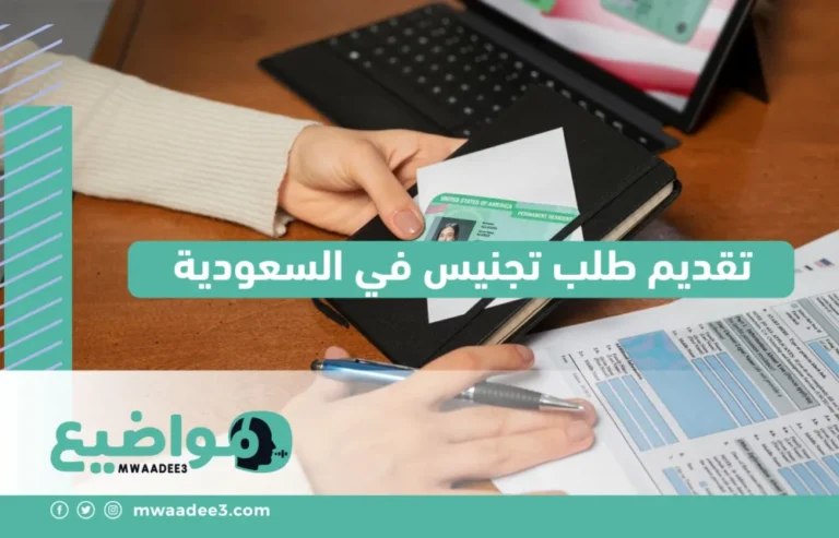 تقديم طلب تجنيس في السعودية