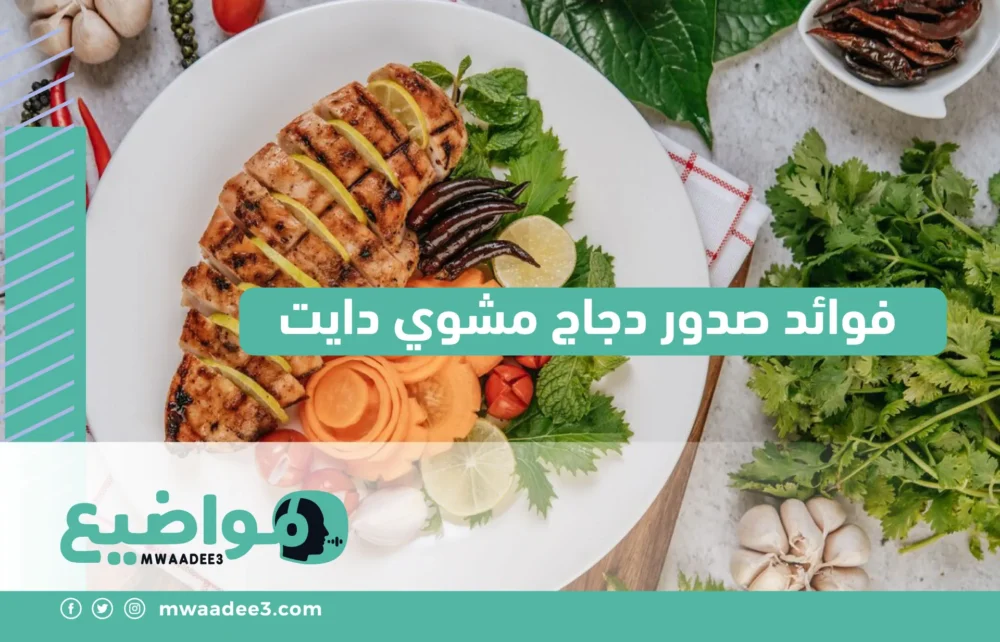 فوائد صدور دجاج مشوي دايت