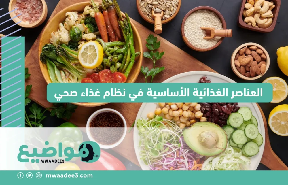 العناصر الغذائية الأساسية في نظام غذاء صحي